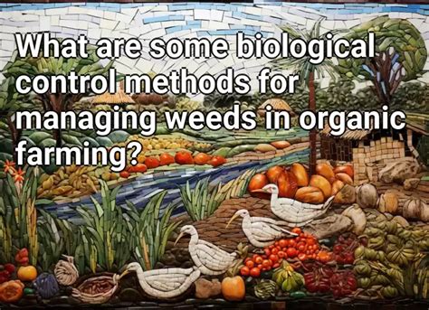 What Are Some Biological Control Methods For Managing Weeds In Organic