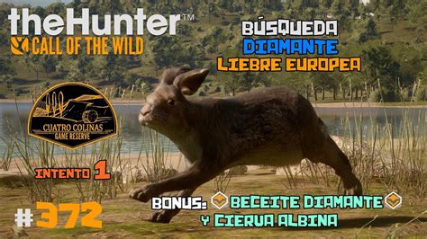 TheHunter Call Of The Wild 372 EN BUSCA DEL DIAMANTE DE LIEBRE