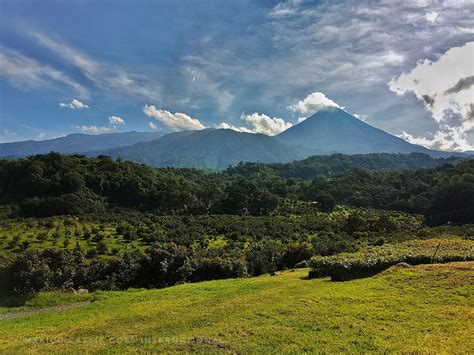 Expert Guide What To Do In Colima Mexico