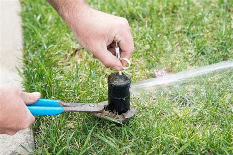 Sprinkler Head Adjustment For Home Lawn Irrigation System Stock Photo ...