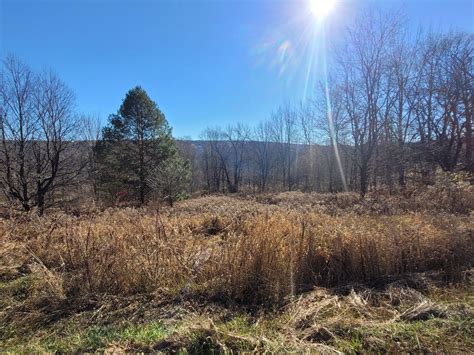 6 62 Acres In Schoharie County New York