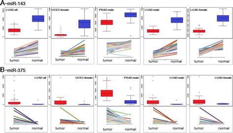 Mirna And Mrna Expression Analysis Reveals Potential Sex Biased Mirna