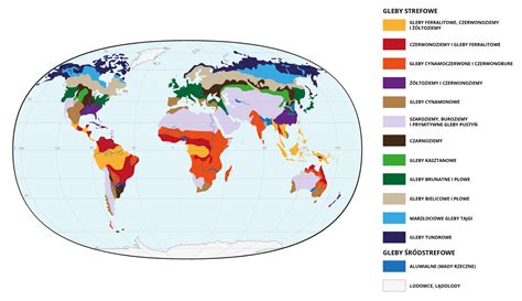 Strefowe Zjawiska Przyrodnicze Na Ziemi Geografia24 Pl