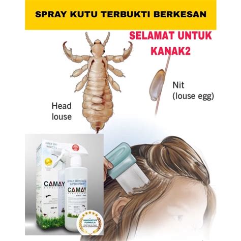 Spray Kutu Kepala Head Lice Camay Repellent Spray Bebas Racun