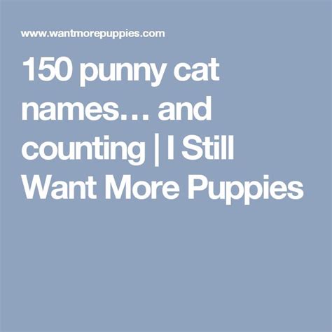 150 punny cat names… and counting | I Still Want More Puppies | Punny ...