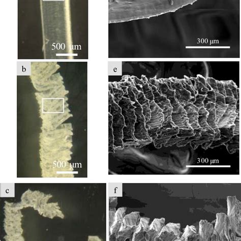 Different Chip Morphologies A Continuous B Serrated And C Dust And