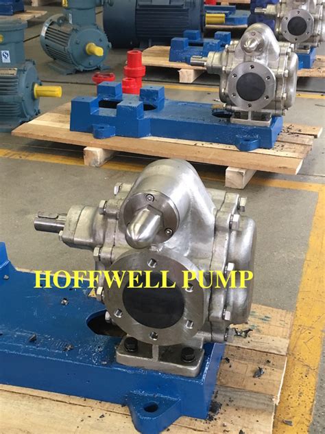 Stainless Steel Molasses Rotary External Gear Pump From China