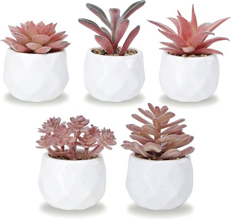 KORVEA Set Of 5 Artificial Succulent Plants Pink Mini Assorted Fake