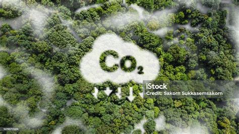 Kabut Putih Co2 Konsep Yang Menunjukkan Masalah Emisi Karbon Dioksida Dan Co2 Bagi Lingkungan