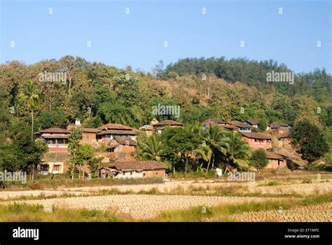 Landscape Village Scene Of Anjarle District Dapoli Maharashtra