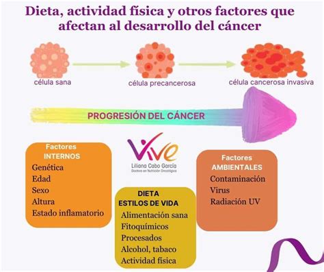 Prevenci N Del C Ncer De Mama Factores De Riesgo Y Supervivencia