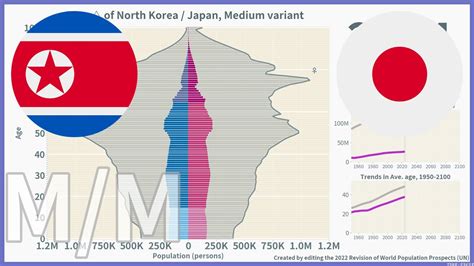 N Korea Vs Japan Comparison Of Population Pyramids