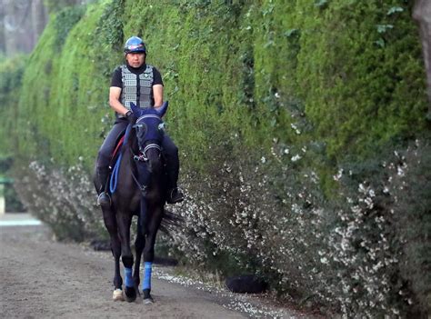 【秋華賞】ユーバーレーベン、中146日での実戦｜競馬ニュース｜競馬予想のウマニティ