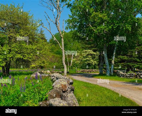 tenants harbor maine usa stock photo alamy