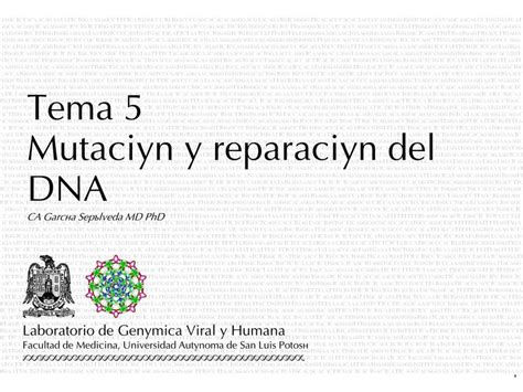 Mutación y reparación del DNA uDocz