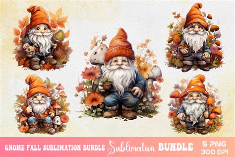 Thanksgiving Gnome Sublimation Clipart Graphic By Nutty Creations