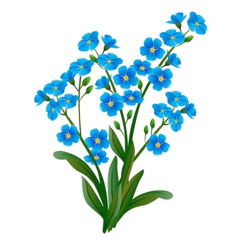 Premium Vector Forget Me Not Clip Art Illustration