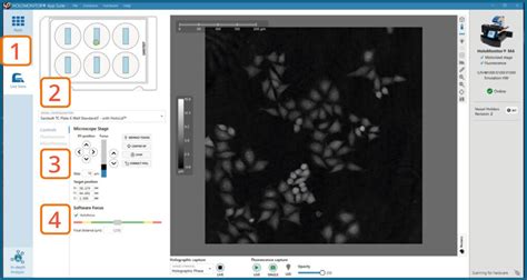 Holomonitor® Fluorescence Capture Protocol Phase Holographic Imaging