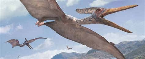 Pteranodon | Walking With Wikis | FANDOM powered by Wikia