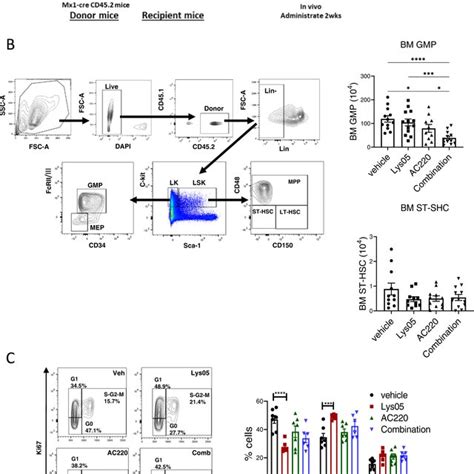 Autophagy Inhibition Enhances Tki Mediated Inhibition Of Flt3 Itd Aml