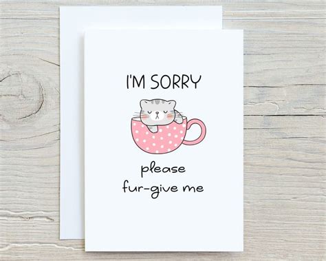 A Card That Says I M Sorry Please Fur Give Me With A Cat In A Cup