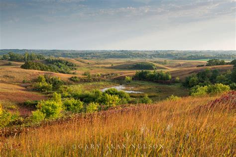 Glacial Moraine And Prairie Grasses Mn 17 215 Gl Gary Alan Nelson