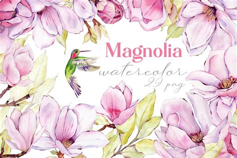 Watercolor Pink Magnolia Flowers Clipart Graphic By Elenazlataart