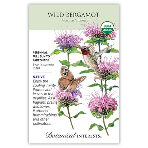 Wild Bergamot Seeds, Herbs: Botanical Interests