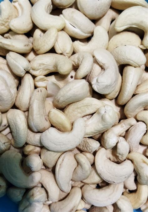 Raw Ivory Organic W180 Cashew Nuts At Rs 700 Kg In Berhampur ID