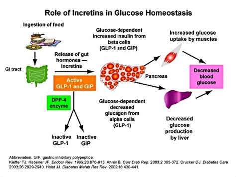 Timely Insulin and Incretin Mimetics: Treatment Strategies