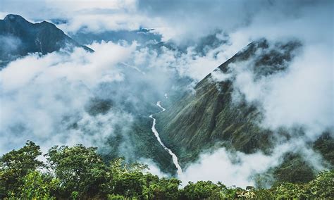 What Is A Cloud Forest? - WorldAtlas