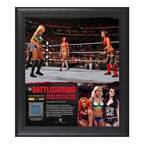 Divas Triple Threat Match Battleground 15 X 17 Framed Ring Canvas Photo