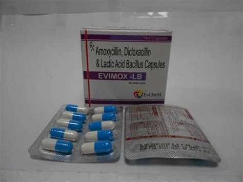 Evimox Lb Amoxycillin Dicloxacillin Lactic Acid Bacillus Capsules