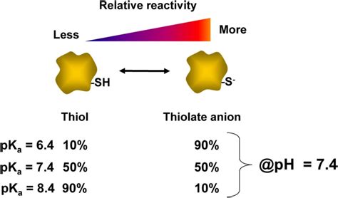 Relationship Of Thiol Pka And Reactivity The Acid Dissociation