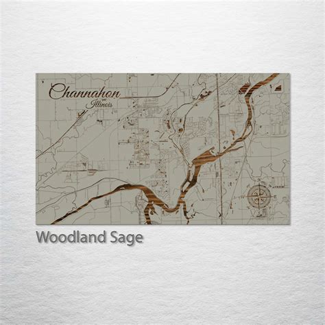 Channahon, Illinois Street Map – Fire & Pine