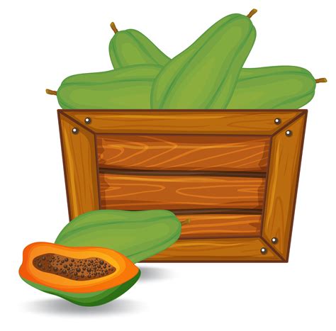 Papaya On Wooden Banner 519528 Vector Art At Vecteezy