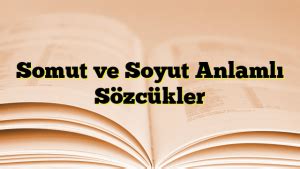 Somut Ve Soyut Anlaml S Zc Kler Dilbilgisi Org T Rk E Dilbilgisi