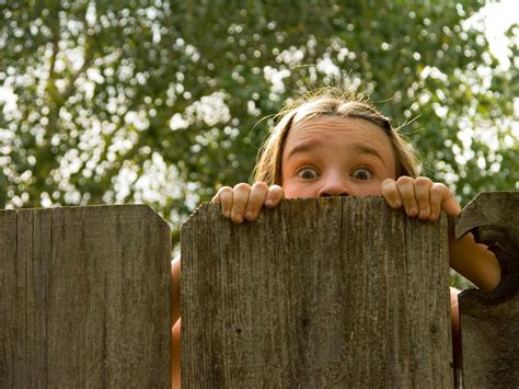 Peeking Over Fence Meme Img Dink