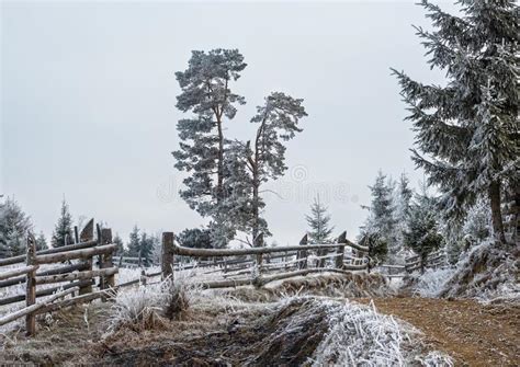 Winter Coming Last Days Of Autumn Morning In Mountain Countryside