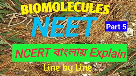 Biomolecules Ncert Explain In Bangla For Neet Biology Class Ncert