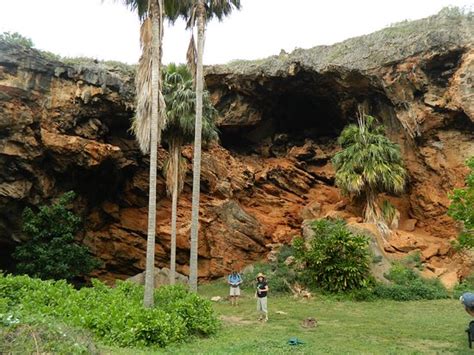 Makauwahi Cave Reserve Kalaheo Hi Top Tips Before You Go With