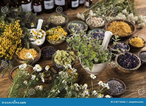 Variedad De Hierbas Medicinales Naturales Y Mortero Foto De Archivo