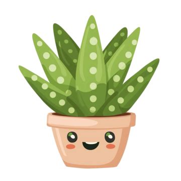 Clipart Aloe Plant Plant Aloe Vera Aloe PNG Transparent Image And