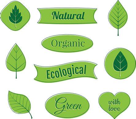 Set Of Eco Labels And Banners Vector Illustration Stock Clipart