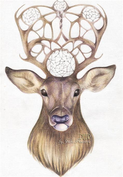 Deer pencil drawing by JuliaBadeeva on DeviantArt