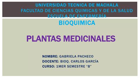 Plantas Medicinales Ppt