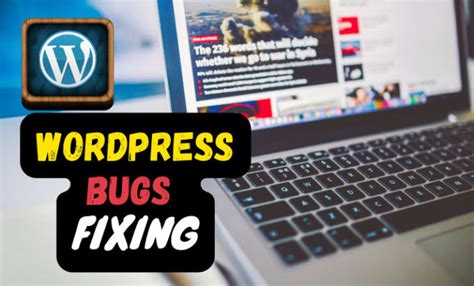 Do Wordpress Bugs Fixing And Customization By Akbardeshani Fiverr