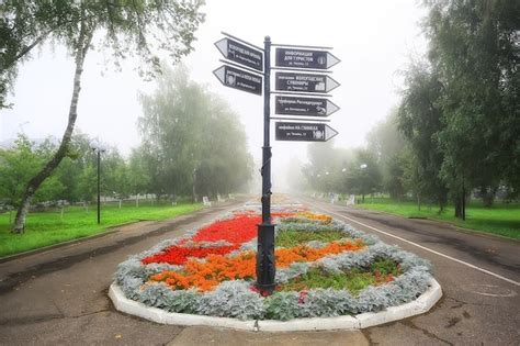 Parque De La Ciudad De Flores De Macizo De Flores Hermosas Flores De