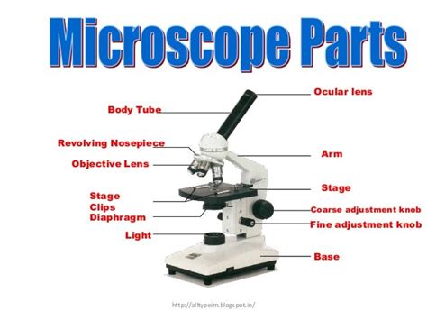 Metallurgical microscope