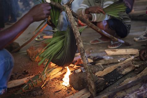 Using Herbal Medicine Indigenous Knowledge In The Philippines at John